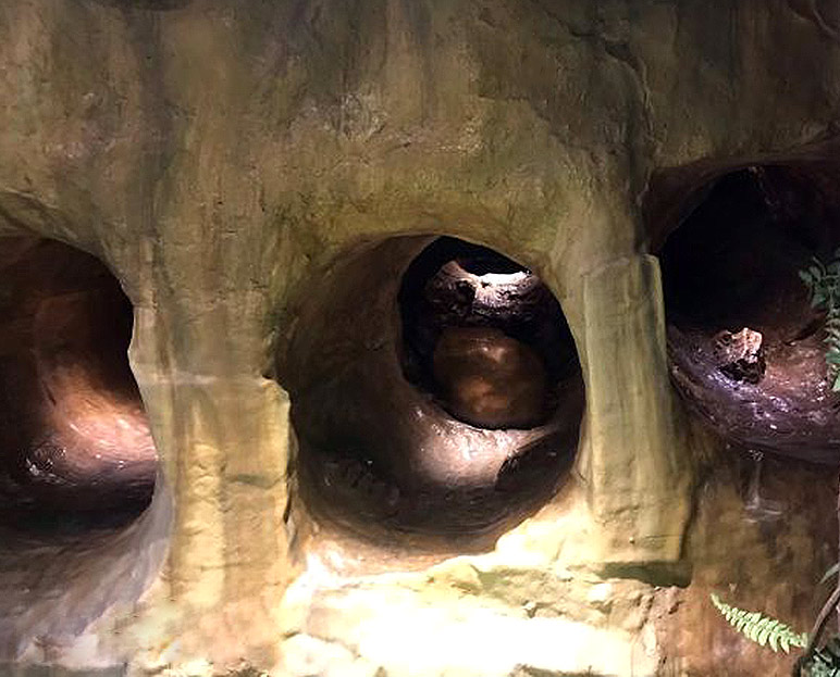 城市探洞.jpg 城市探洞